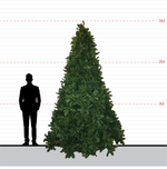 Tree Nordic 3m - Christmas Decorations Brisbane