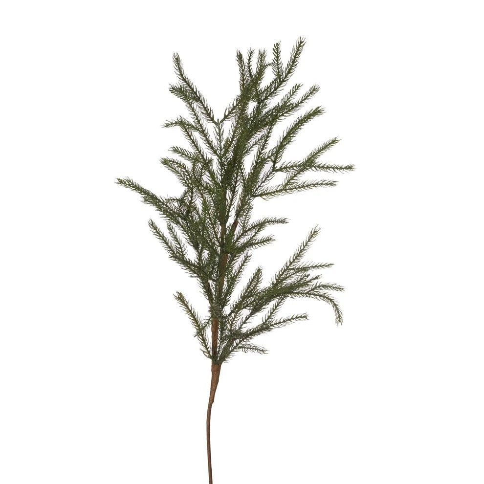 Pick Spruce 60cm