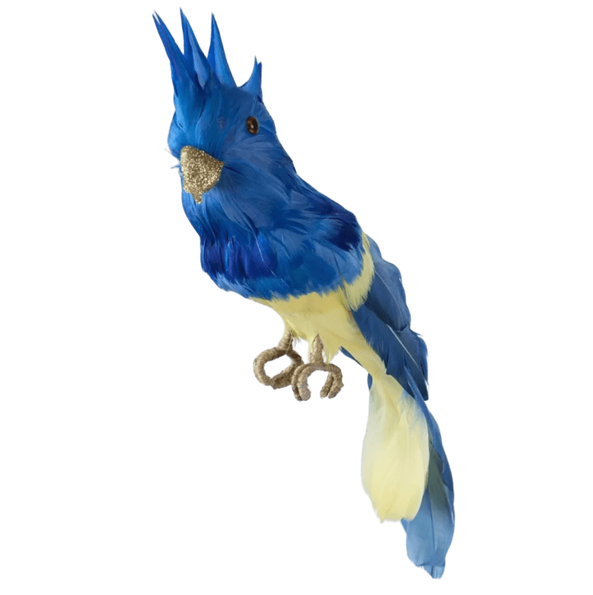 Bird Blue Crested 18cm - Christmas Decorations Brisbane