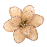 Poinsettia Flower Champange Glitter Clip On 22cm - Christmas Decorations Brisbane