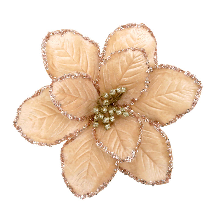 Poinsettia Flower Champange Glitter Clip On 22cm - Christmas Decorations Brisbane