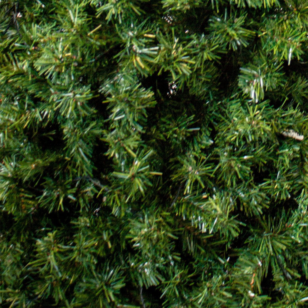 Tree Slimline 2.2m - Christmas Decorations Brisbane