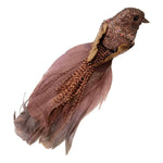 Decorative bird with brown glitter body and feather tail
