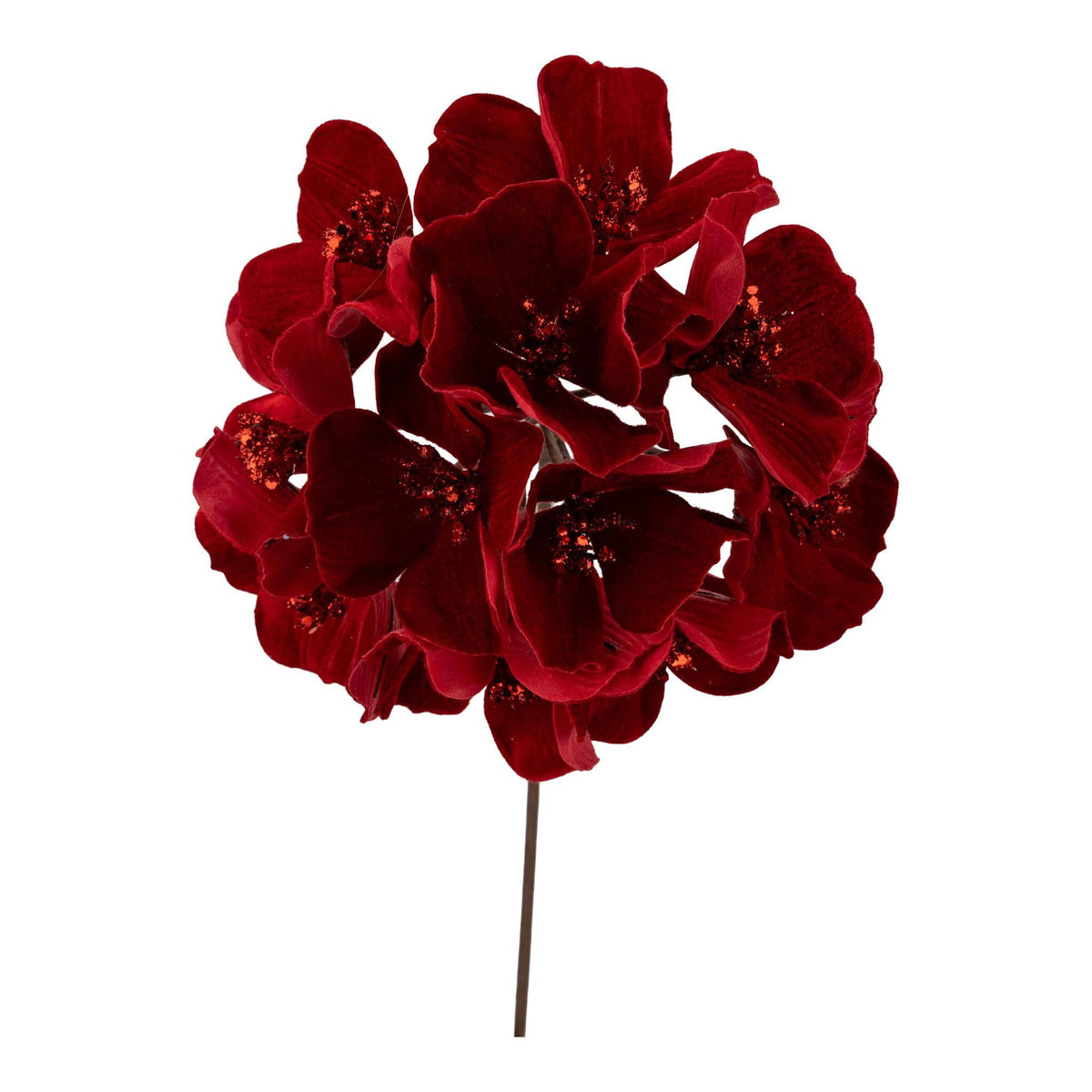 Hydrangea Flower Red