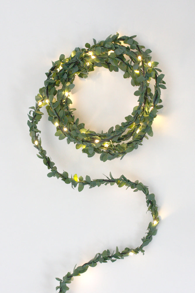 Fairy Lights Green Leaf 3m